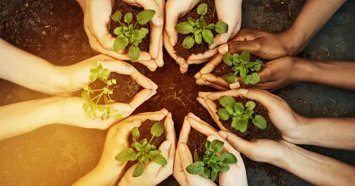 Protecting local ecosystems is a vital factor in maintaining the appeal of resorts in the long term.